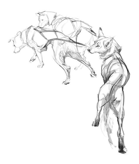 Helpful diagrams guide you in drawing a horse, cat, penguin, rabbit, and more. 1627 best Art Inspiration images on Pinterest | Character concept, Character sketches and ...