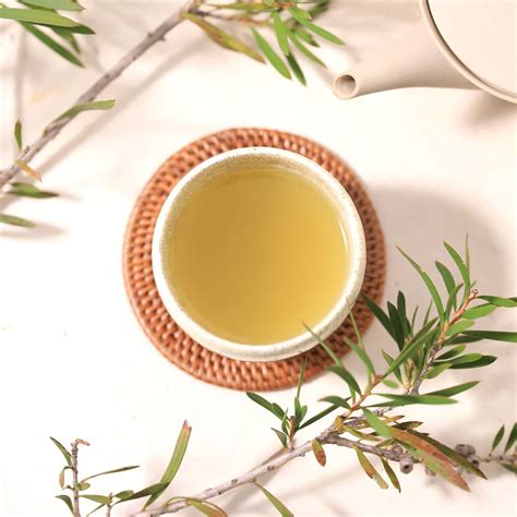日本茶とは。日本茶の種類と特徴について。 茶の間｜静岡県内7箇所 絶景の茶畑テラス