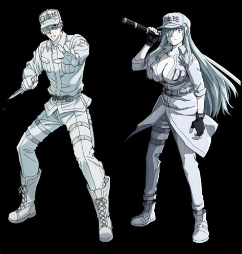 Cells At Work White Blood Cell