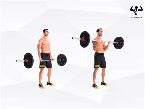 Barbell Curl Vs Dumbbell Curl Which Is Best FitDominium