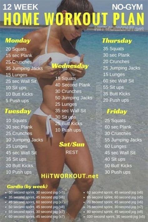 5 day workout plan for beginners. Best Whole Body Workout Routine - 12 week bikini ...