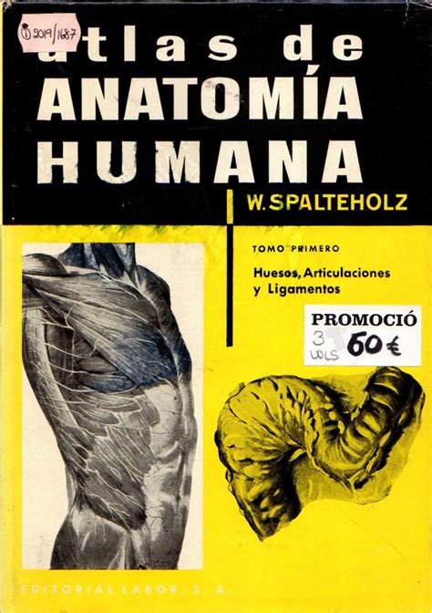 Atlas Da Anatomia Humana