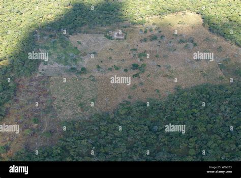 Deforestation Of Tanzanian Woodlands For Tobacco Farming Stock Photo