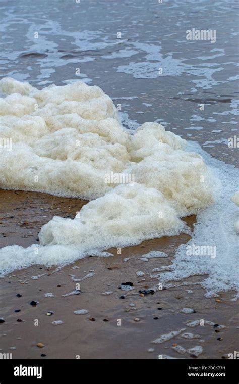 Froth Seafoam Churned Up By The Surf On The Foreshore Incoming Tide
