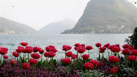Mountains Water Flowers Buildings Flowers Wallpapers 1920x1080