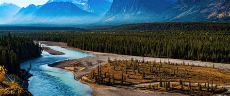 2560x1080 Forest Landscape Mountain Nature River Scenic 4k Wallpaper
