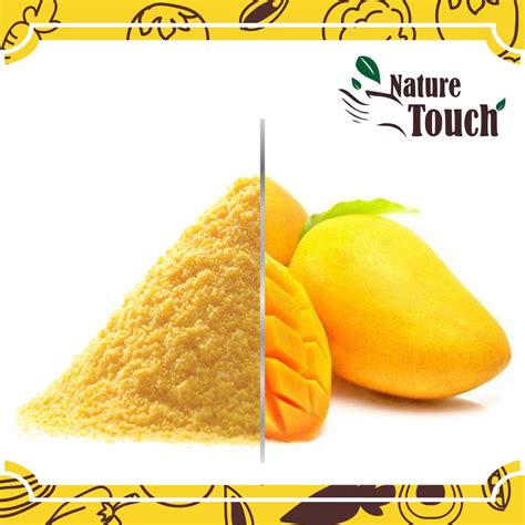 Spray Dried Mango Powder At Best Price In Jodhpur By Nature Touch