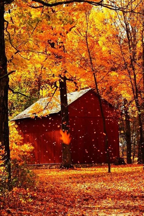 1123 Best New England Autumn Foliage Images On Pinterest