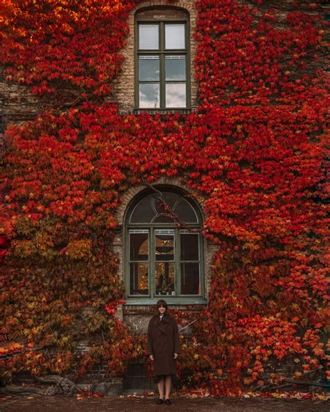 Autumn In Sweden 10 Best Places To See Sweden In Autumn
