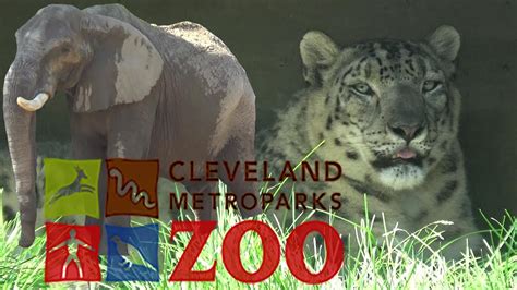 Cleveland Metroparks Zoo Tour And Review With The Legend Youtube