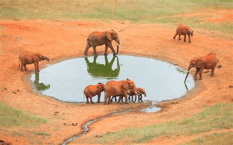 15 Best Game Reserves And Safari Parks In Kenya