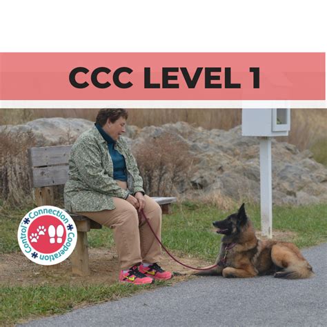 Ccc Level 1 Semi Private Classes — See Spot Grin