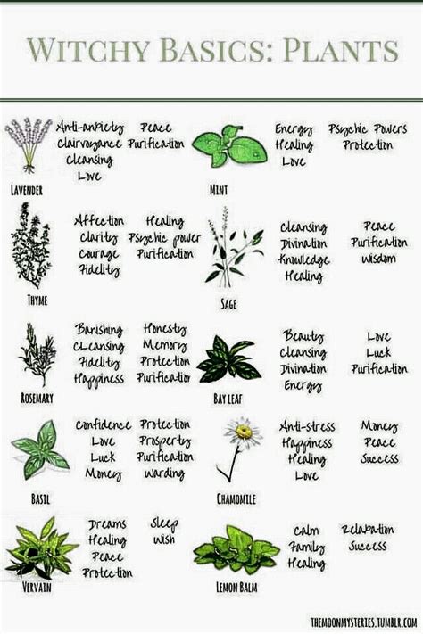 The Green Witch Your Complete Guide To The Natural Magic Of Herbs