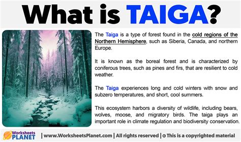 What Is Taiga Ecosystem Definition Of Taiga