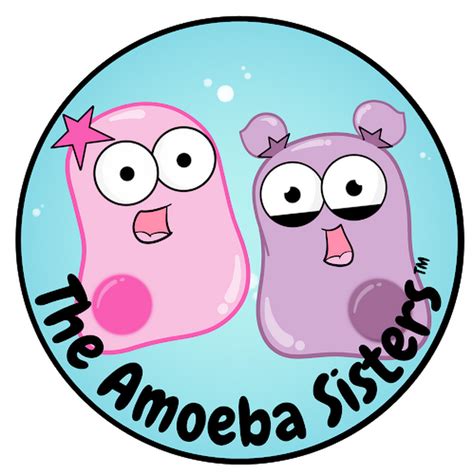 In a simple monohybrid cross, a genotypic ratio gives the probability of offspring expressing the three possible genotypes. Amoeba Sisters - YouTube