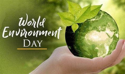 Twibbon Hari Lingkungan Hidup Sedunia 2021 Gratis Disini Berita Utama