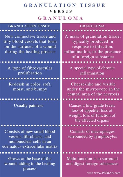 Healing (repair) by connective tissue has the granulation tissue as a hallmark. What is the Difference Between Granulation Tissue and ...