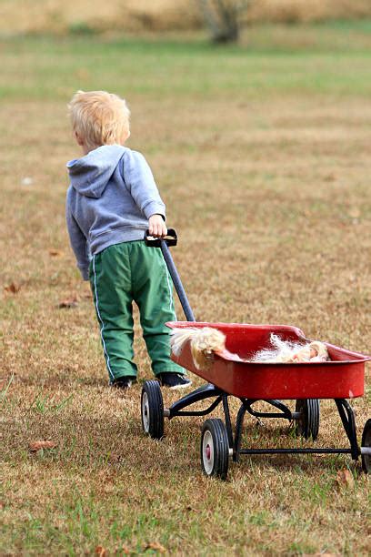240 Boy Pulling A Wagon Stock Photos Pictures And Royalty Free Images