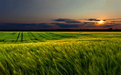 Find the best sunset wallpaper on wallpapertag. sunset wallpapers spring - HD Desktop Wallpapers | 4k HD