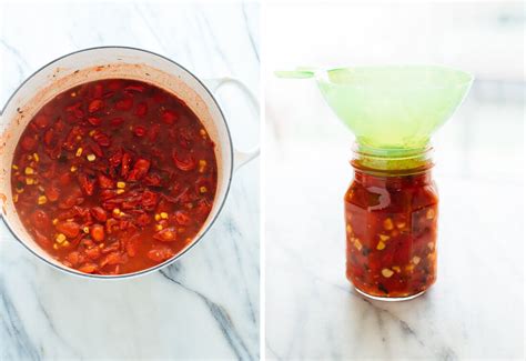 Tomatoes of all kinds are toxic to cats, as are parts of the tomato plant. Corn & Cherry Tomato Salsa Recipe - Cookie and Kate