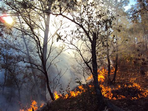 prevengamos incendios forestales comisión nacional de Áreas naturales protegidas gobierno