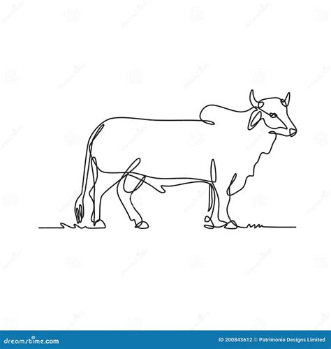 Brahman Bull Standing Side View Continuous Line Drawing Black And White