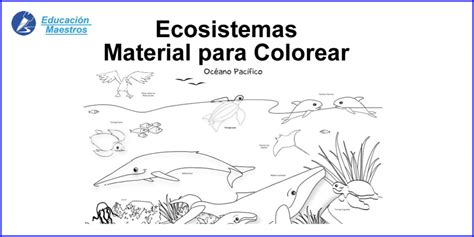 Ecosistemas Para Colorear E Imprimir Actualizado Abril