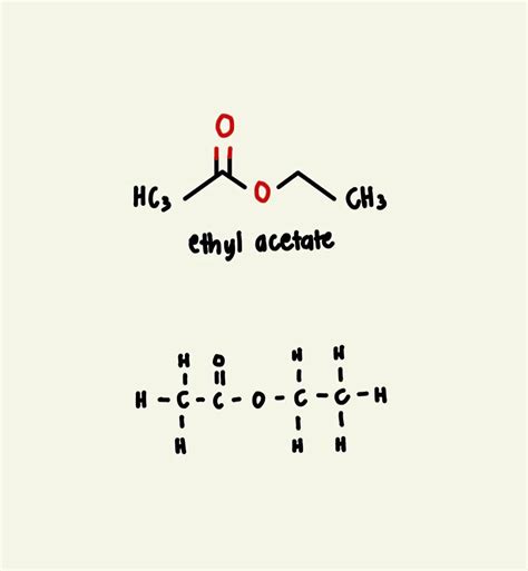 Solved What Is The Structure Of Ethyl Acetate Course Hero