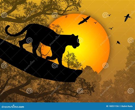 Pantera en un árbol stock de ilustración Ilustración de safari 18051156