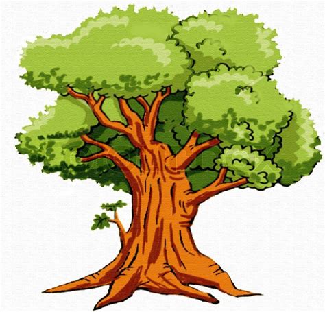 Old Oak Clipart 20 Free Cliparts Download Images On Clipground 2023