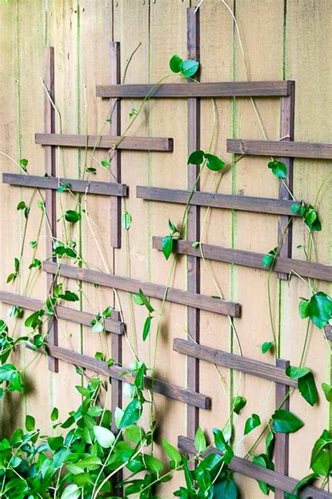 22 diy garden trellis projects for all your climbing plants and flowers. Diy Trellis Ideas For Clematis - Sarofudin Blog