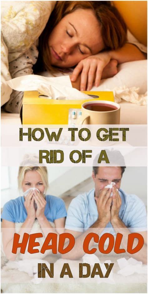 How To Get Rid Of A Head Cold In A Day 1 Head Cold Cold Remedies