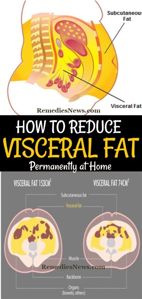 How To Lose Visceral Fat Apply These 11 Weight Loss Tips To Burn Belly Fat