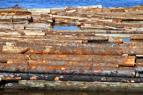 130 Logjam Stock Photos Pictures And Royalty Free Images Istock
