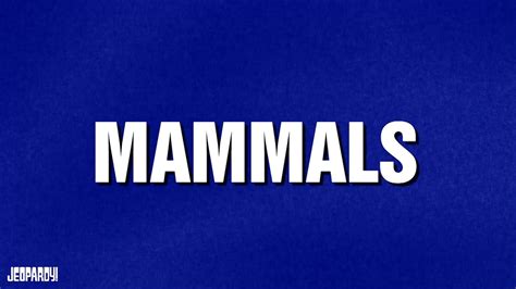 Mammals Category Jeopardy Youtube