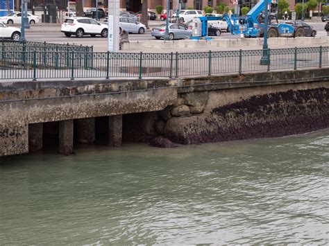 Arcadis Wins Contract For Seawall Resiliency Project To Protect