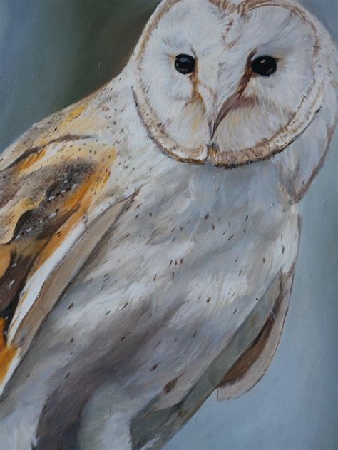 Original Barn Owl Oil Painting Realistic Owl Wall Art Oil Etsy