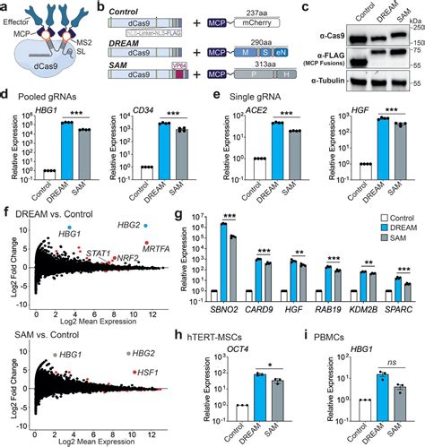 Plv Dcas9 P300 P2a Puror Plasmid 83889 Addgene Inc Bioz