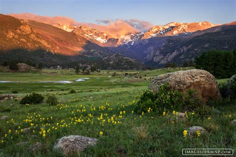 Meadow Images Of Rocky Mountain National Park