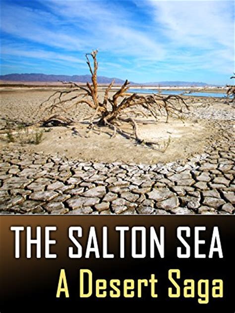 Gong yoo is the lead actor. The Salton Sea Movie Trailer, Reviews and More | TVGuide.com