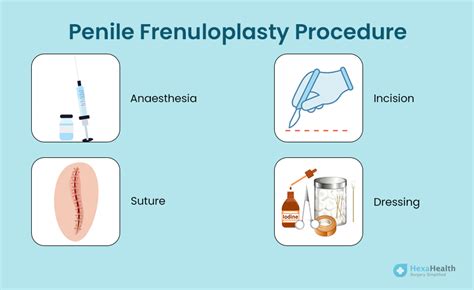 Penile Frenuloplasty Purpose Side Effects And Success Rate