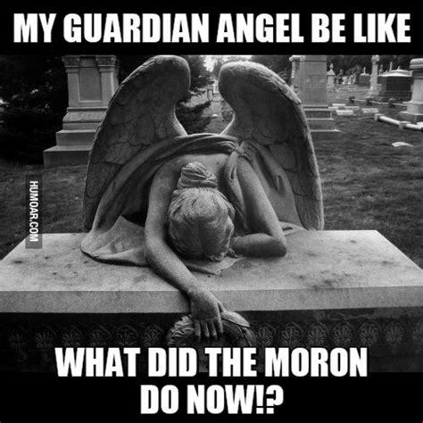 20 angel memes that will make your laugh hysterically christian humor