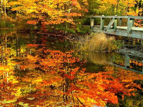 46 Free Screensavers Wallpaper Fall Scenes Wallpapersafari