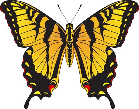 Tiger Swallowtail Butterfly Yellow And Black Striped Butterfly Vector