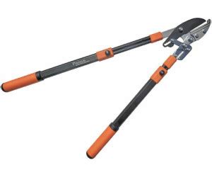 Gartenschere — gartenschere, so v.w. Garten Primus Astamboss-Ratschen-Schere (1100) ab 36,95 ...