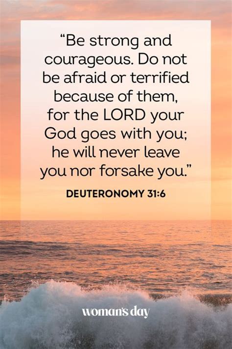 61 Best Bible Quotes And Powerful Scripture Verses Of The Day