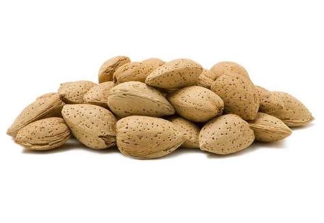 In Shell Raw Almonds Nonpareil Almonds Raw Inshell Almonds