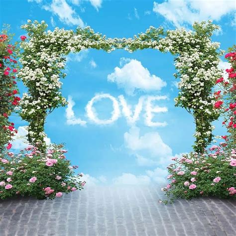 Love Themed Wedding Photography Backdrops Floral Arch Door Blue Sky