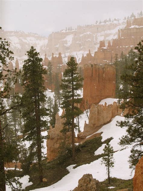 Snow In Bryce Canyon Bryce Canyon National Park National Parks