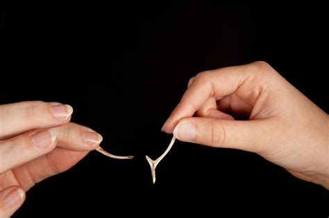 The Story Behind The Wishbone Superstition The Hauntist Destination